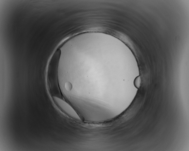 X0000087551095200705251735