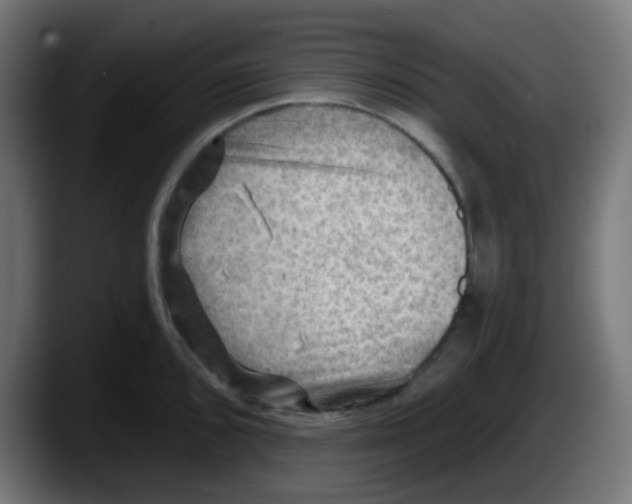 X0000087551096200705251735