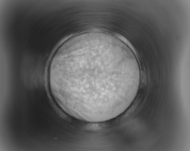 X0000087551098200705251735