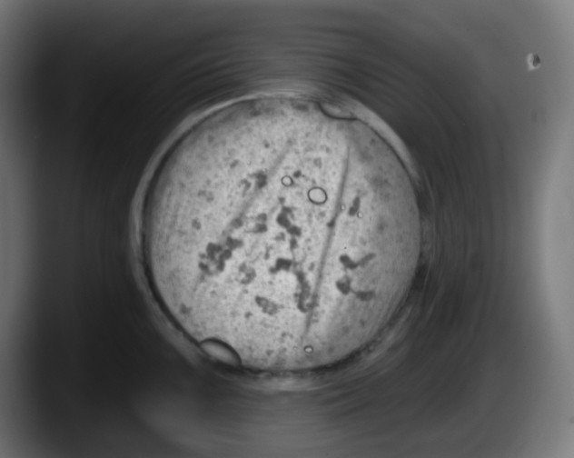 X0000087551099200705251735