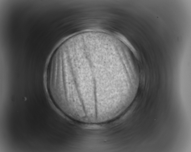 X0000087551100200705251735