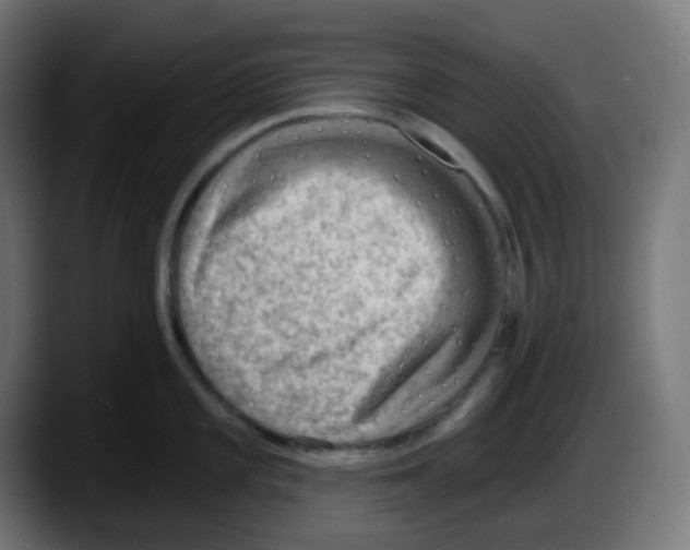 X0000087551101200705251735