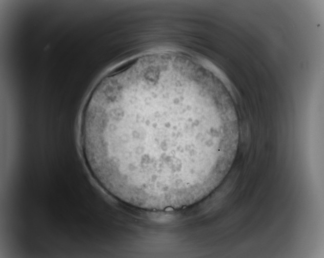 X0000087551103200705251735