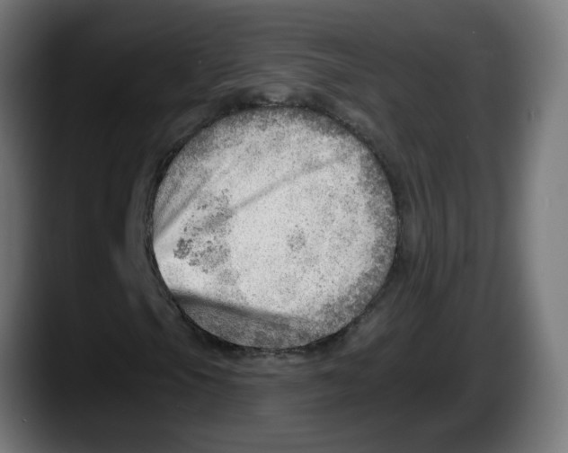 X0000087551105200705251734