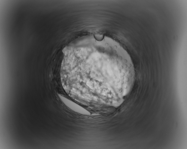 X0000087551106200705251734