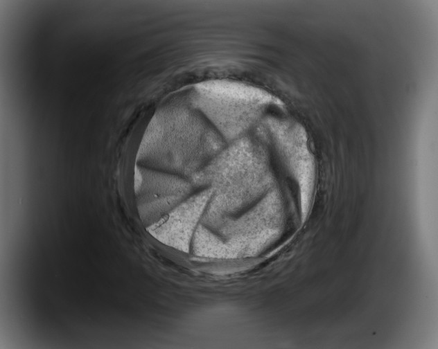 X0000087551109200705251734