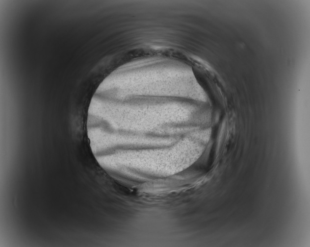 X0000087551110200705251734