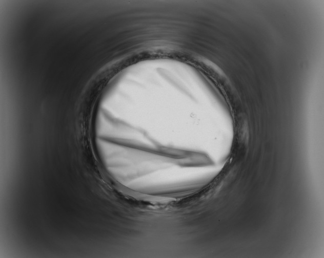 X0000087551112200705251734