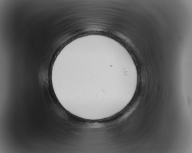 X0000087551113200705251734