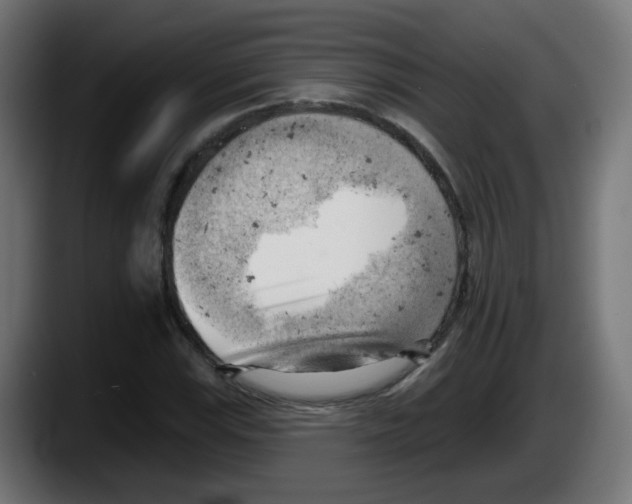 X0000087551115200705251734