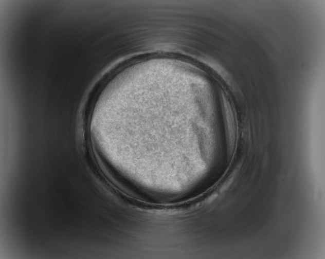 X0000087551118200705251735