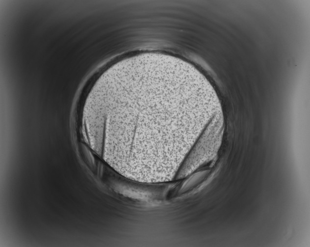 X0000087551122200705251735