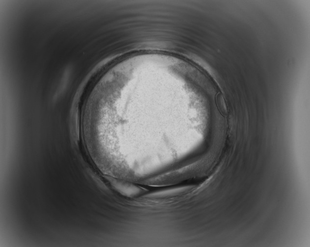 X0000087551123200705251735