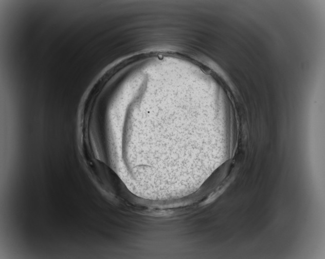 X0000087551124200705251735