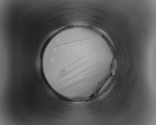 X0000087551125200705251735