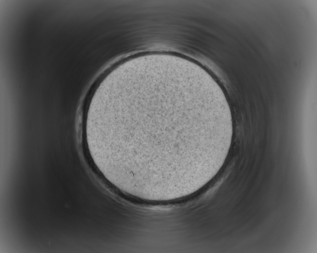 X0000087551126200705251735