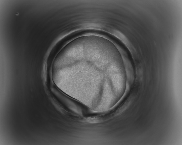 X0000087551128200705251735