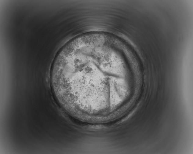 X0000087551129200705251735