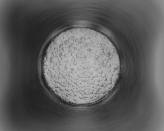 X0000087551130200705251735