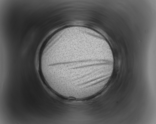 X0000087551131200705251735