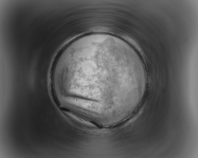 X0000087551133200705251735