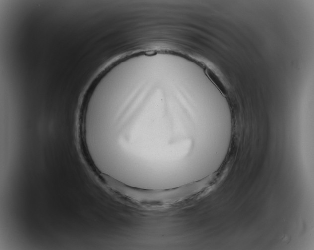 X0000087551134200705251735