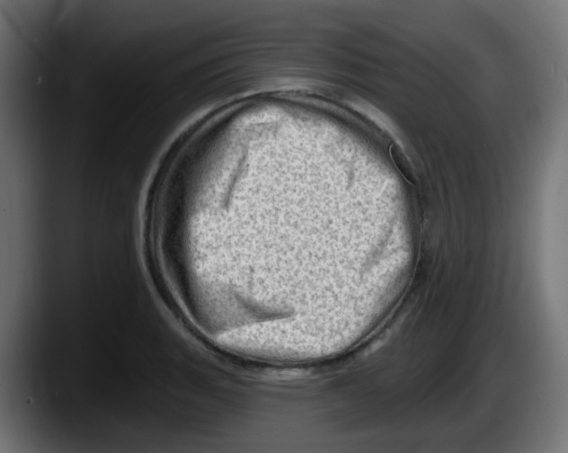 X0000087551135200705251735