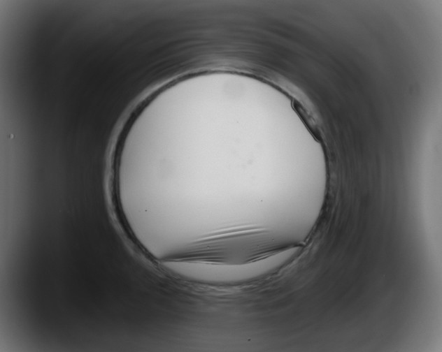 X0000087551136200705251735