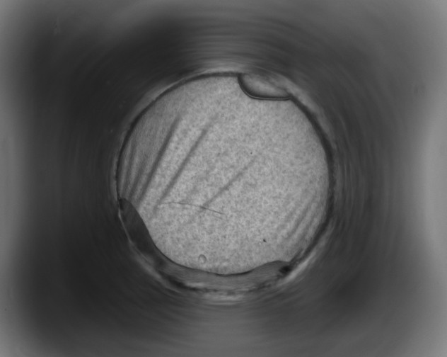 X0000087551137200705251735