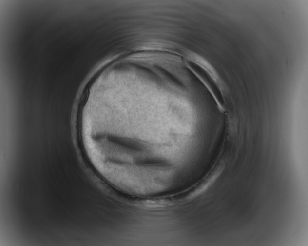 X0000087551138200705251735