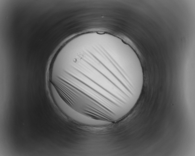 X0000087551140200705251735