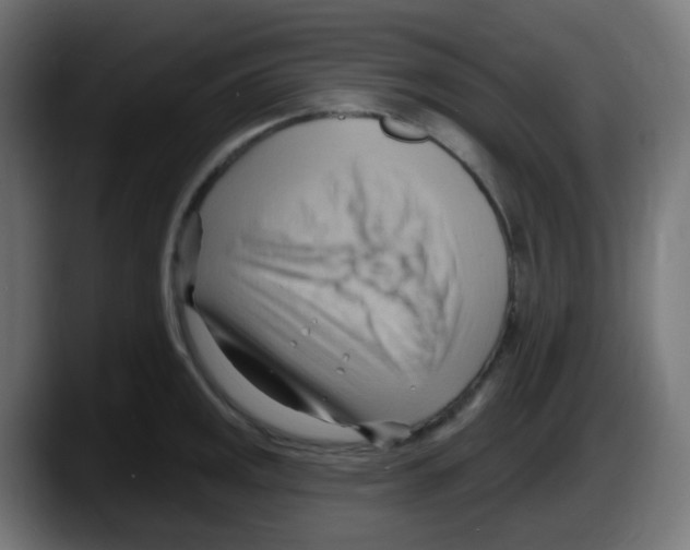 X0000087551141200705251735