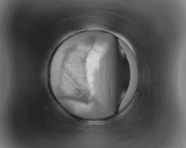 X0000087551142200705251735