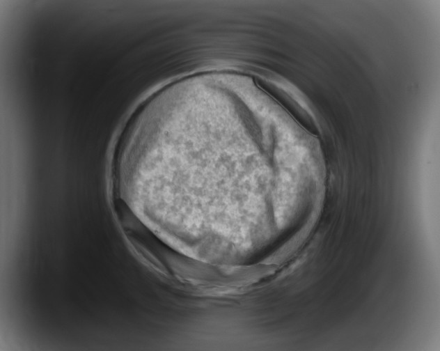 X0000087551143200705251735