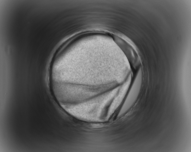 X0000087551144200705251735