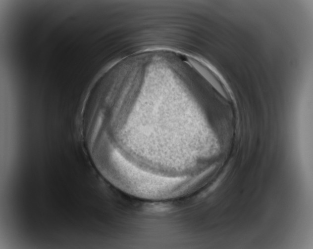 X0000087551145200705251735