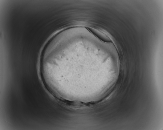 X0000087551147200705251735