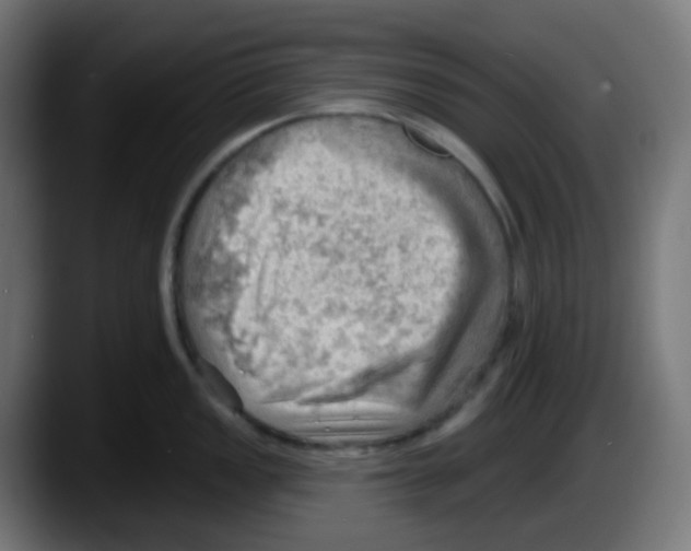 X0000087551149200705251735