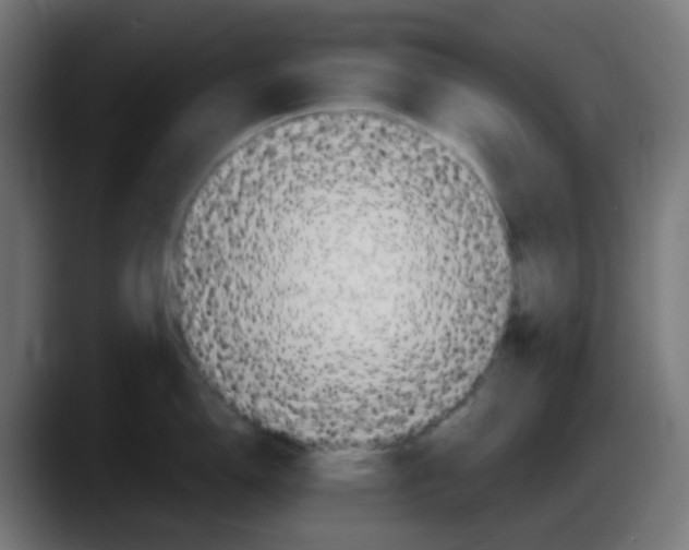 X0000087551150200705251735