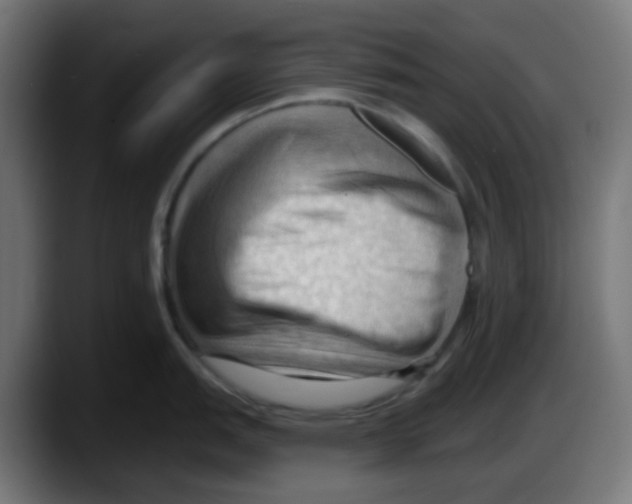 X0000087551151200705251735