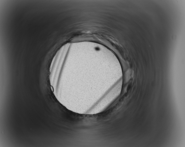 X0000087551153200705251734