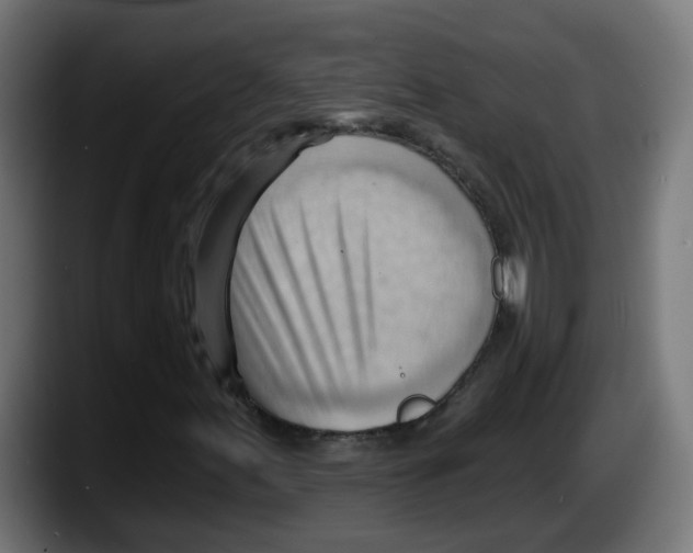 X0000087551155200705251734