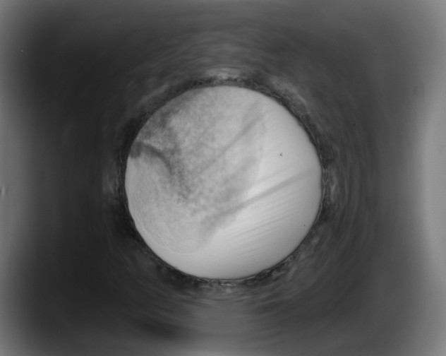 X0000087551158200705251734