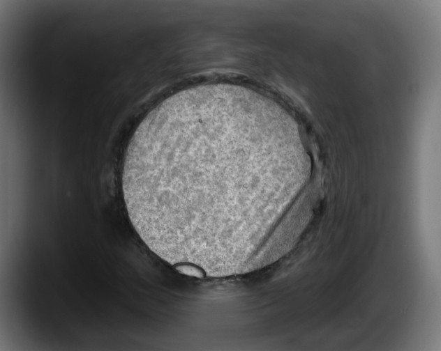 X0000087551159200705251734