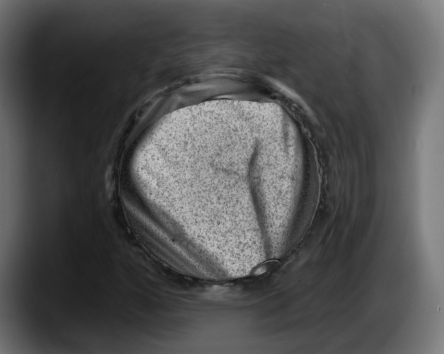 X0000087551160200705251734