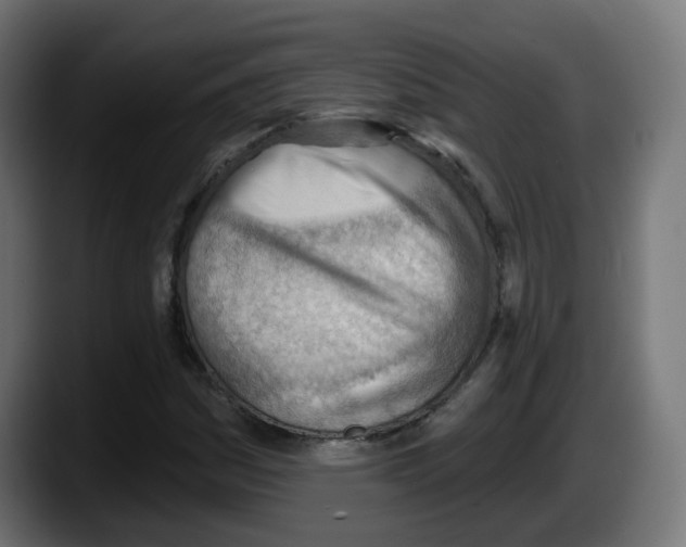 X0000087551161200705251734