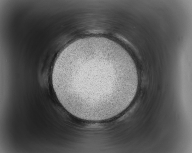 X0000087551162200705251734