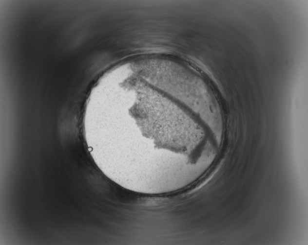 X0000087551163200705251734