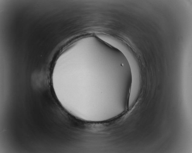 X0000087551164200705251734