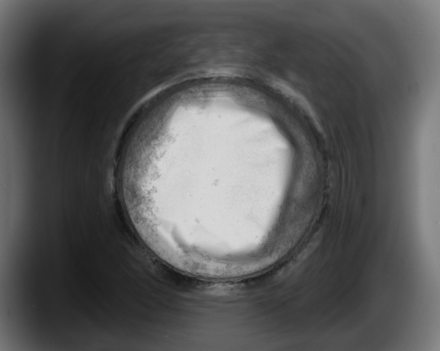 X0000087551166200705251734